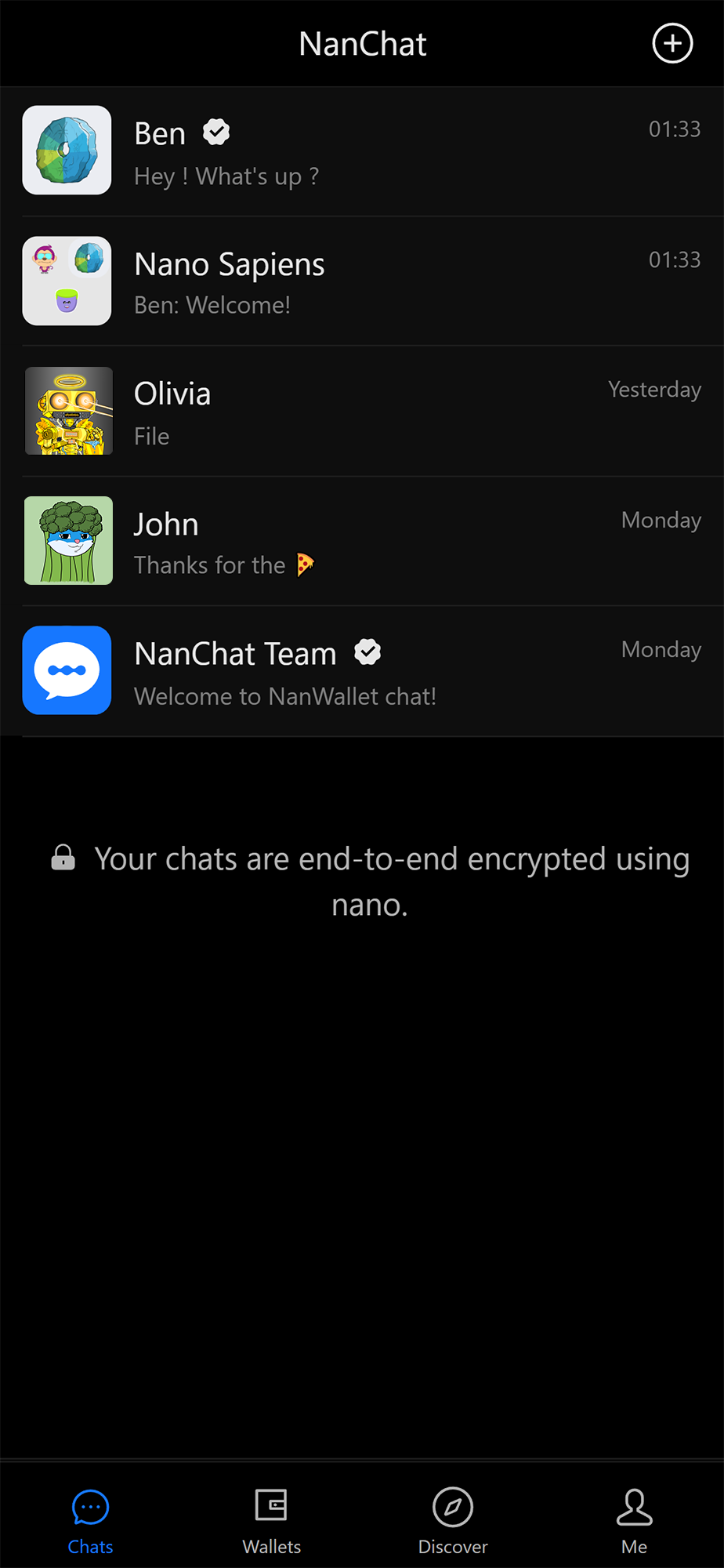 NanChat App Preview
